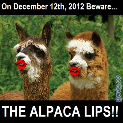 alpacalips