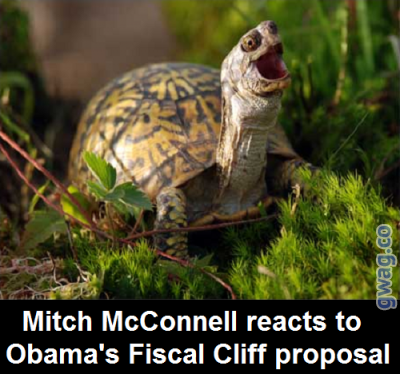mcconnel_laugh