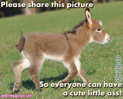 cute_little_ass