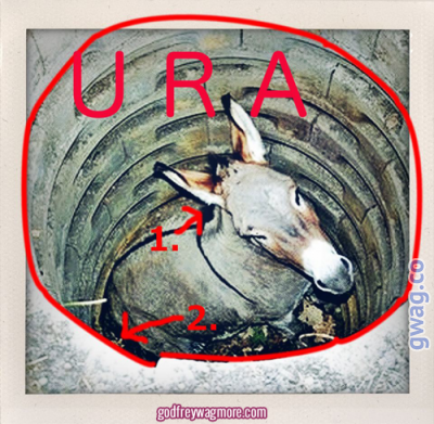 donkey_orifice