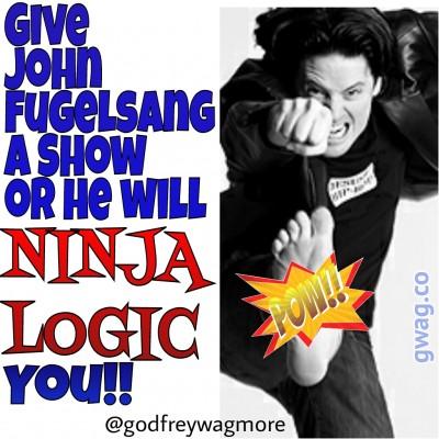 wpid-ninjalogic1.jpg