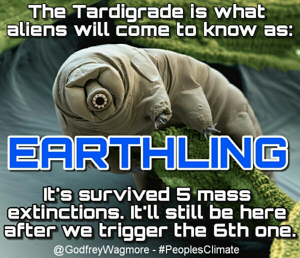 wpid-tardigrade.jpg